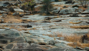 Qué esconde esta foto Qué esconde esta foto