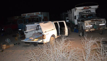 Rescatan 15 aves y decomisan tramperos y un arma Rescatan 15 aves y decomisan tramperos y un arma