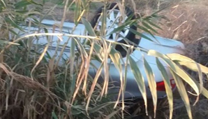 Volcó por esquivar un perro Volcó por esquivar un perro