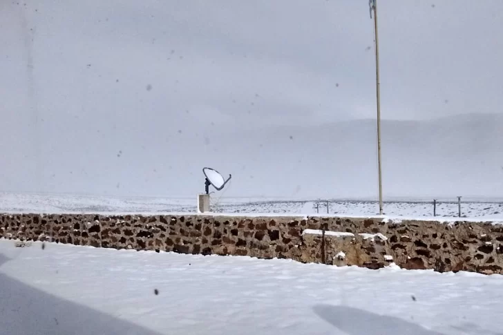 Especialistas coincidieron que la pandemia aceleró el problema de obesidad infantil en San Juan