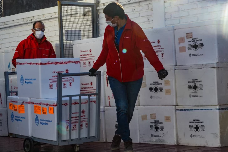 Gobierno informó a Diputados cómo fue la fallida compra de vacunas rusas