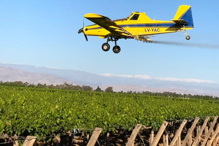 Lobesia: Analizan cómo sumar otra multa al viñatero infractor