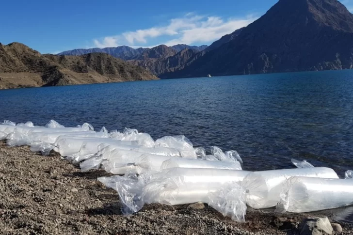 La primera siembra en el dique Punta Negra incluyó a 3 mil pejerreyes