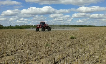 El Gobierno aseguró que no evalúa subir retenciones al maíz, la soja y el trigo El Gobierno aseguró que no evalúa subir retenciones al maíz, la soja y el trigo