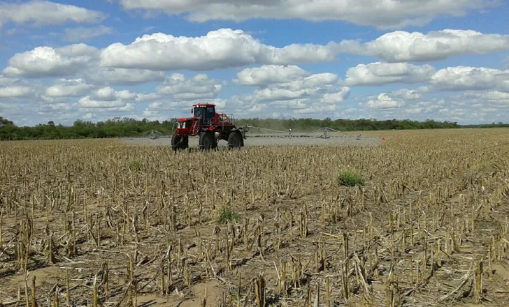 El Gobierno aseguró que no evalúa subir retenciones al maíz, la soja y el trigo El Gobierno aseguró que no evalúa subir retenciones al maíz, la soja y el trigo