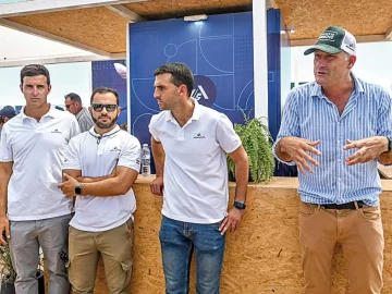 La inteligencia artificial suma inversión en Argentina La inteligencia artificial suma inversión en Argentina