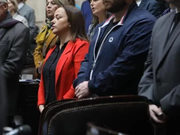 Diputados votará este martes a Cecilia Moreau como titular de la cámara Diputados votará este martes a Cecilia Moreau como titular de la cámara