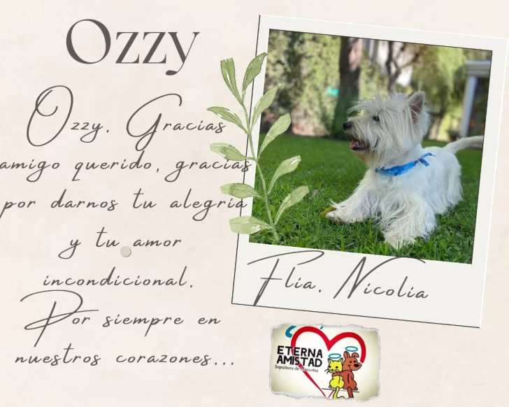 ¿Sabías que en San Juan podés sepultar a tu mascota? ¿Sabías que en San Juan podés sepultar a tu mascota?