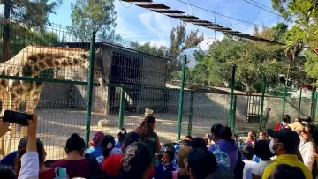 Echaron al jefe de un zoológico por cocinar animales para la cena de fin de año Echaron al jefe de un zoológico por cocinar animales para la cena de fin de año