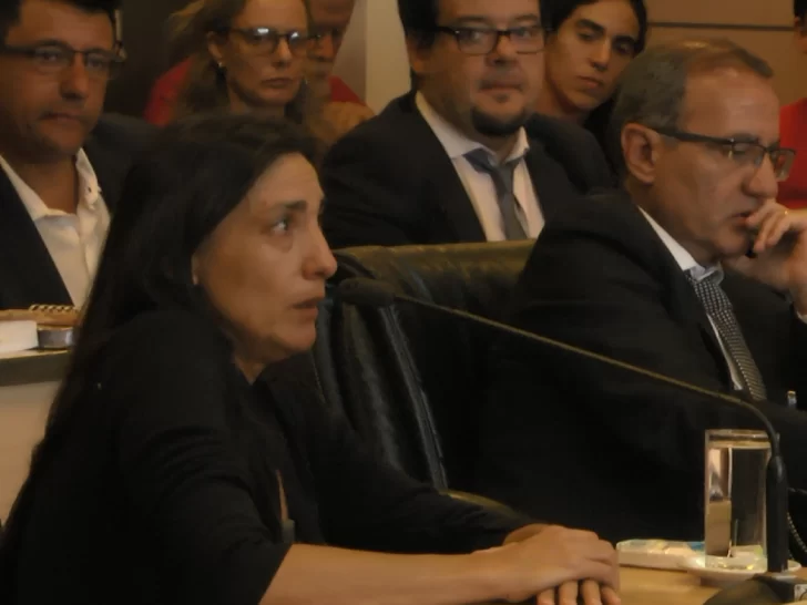 Mariana Tellechea en el juicio: “Nos quedó claro que los acusados estaban siendo encubiertos”