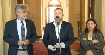 Anuncian que trabajan en diseñar un fármaco para pacientes con cáncer y enfermedades autoinmunes Anuncian que trabajan en diseñar un fármaco para pacientes con cáncer y enfermedades autoinmunes