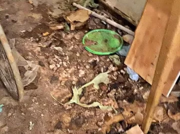 Casa del horror: la policía encontró una heladera con perros y gatos desmembrados Casa del horror: la policía encontró una heladera con perros y gatos desmembrados