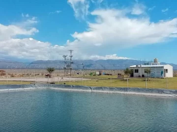 Habrá un tercio más de invernaderos para el cannabis con fondos locales Habrá un tercio más de invernaderos para el cannabis con fondos locales