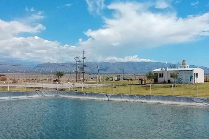 Habrá un tercio más de invernaderos para el cannabis con fondos locales