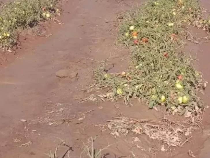 Una fuerte lluvia afectó a Jáchal