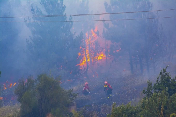 Mapuches se adjudican haber iniciado el incendio en El Hoyo