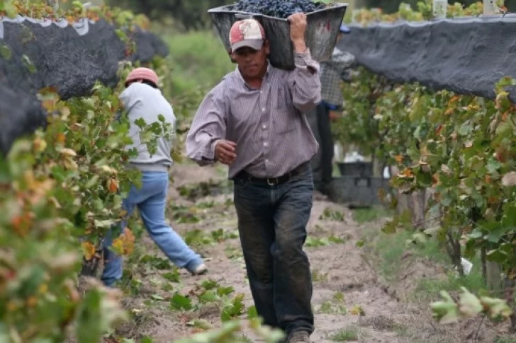 Por el mosto, San Juan y Mendoza van por cero porcentaje o cifra baja