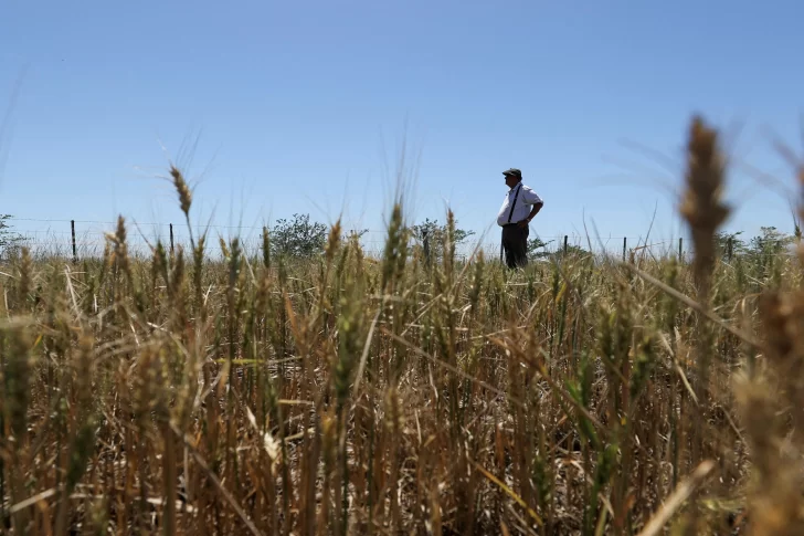 Lluvias intensas no solucionan la sequía porque matan al suelo