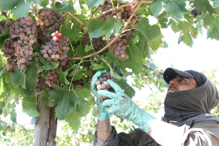 Trabajadores vitivinícolas autoconvocados marcharon por mejores salarios y cuestionaron al gremio