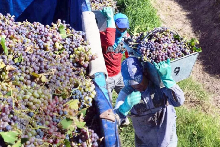 Desde enero, en la mitad de los días hubo registros por encima de los 35°