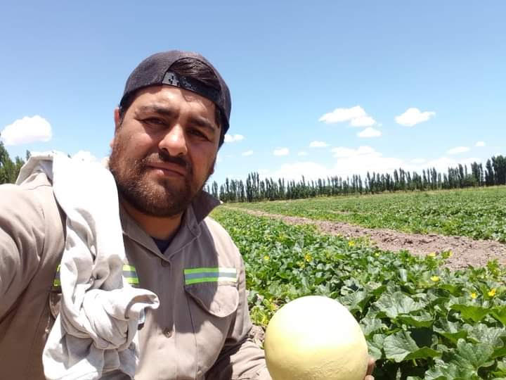Importante iniciativa multigrupal para fomentar cultivo del melón Importante iniciativa multigrupal para fomentar cultivo del melón