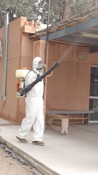 Características de cucarachas y sus métodos para el control Características de cucarachas y sus métodos para el control