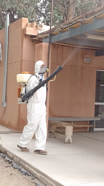 Características de cucarachas y sus métodos para el control Características de cucarachas y sus métodos para el control