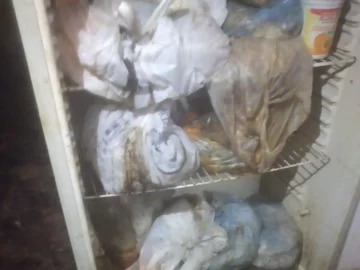 Descartan que los restos hallados en la heladera sean de perros y gatos, pero investigan a la mujer por abandono de mascotas Descartan que los restos hallados en la heladera sean de perros y gatos, pero investigan a la mujer por abandono de mascotas