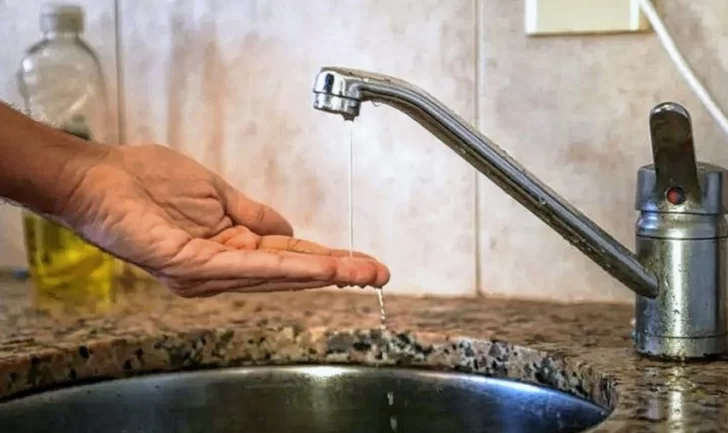 La caída de un árbol en Colonia Fiscal, dejó sin servicio de agua potable a Media Agua La caída de un árbol en Colonia Fiscal, dejó sin servicio de agua potable a Media Agua