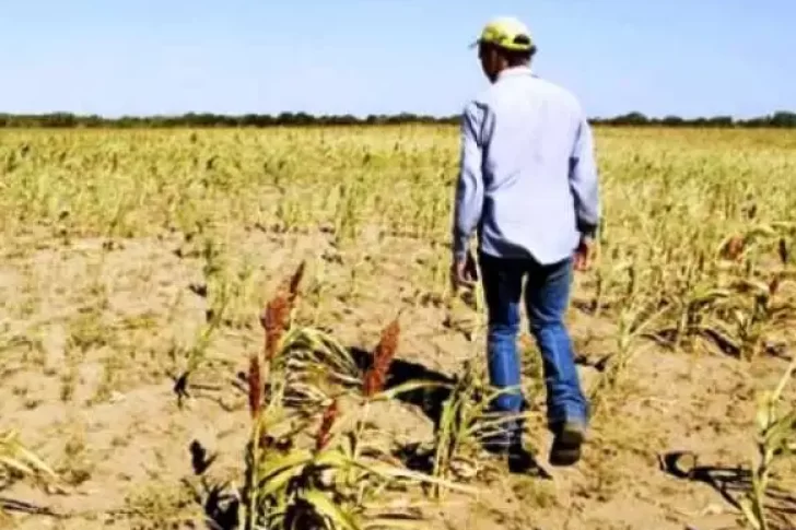 Se secó uno de los ríos más grandes que abastecía a la zona ganadera del país