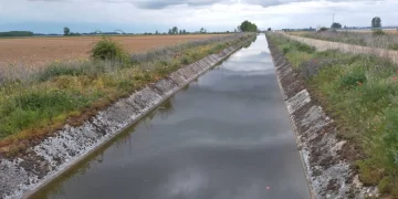 Un bebé de 10 meses murió tras caer a un canal Un bebé de 10 meses murió tras caer a un canal