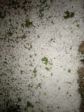 Una fuerte tormenta de lluvia y granizo afectó a Jáchal y analizan daños en cultivos