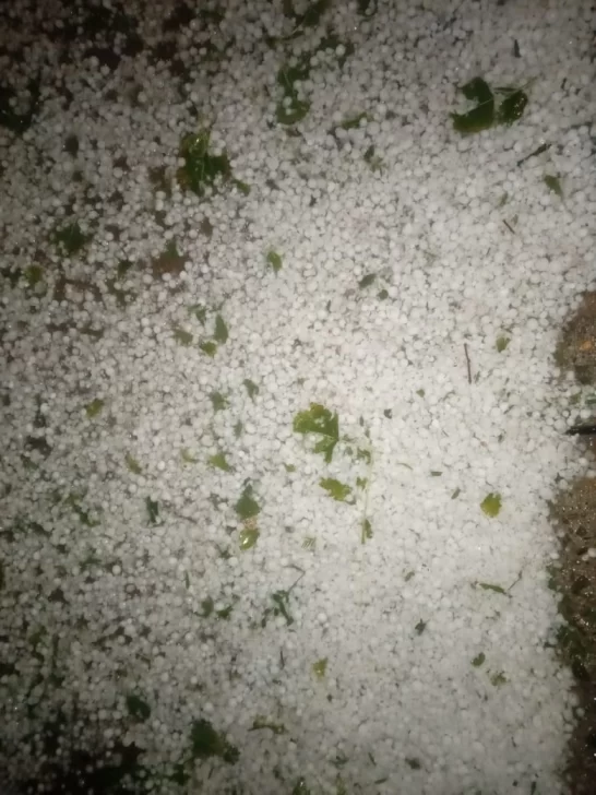 Una fuerte tormenta de lluvia y granizo afectó a Jáchal y analizan daños en cultivos