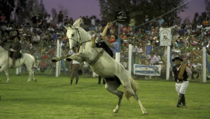 La gente llegó temprano para ocupar el mejor lugar y poder disfrutar de la doma La gente llegó temprano para ocupar el mejor lugar y poder disfrutar de la doma