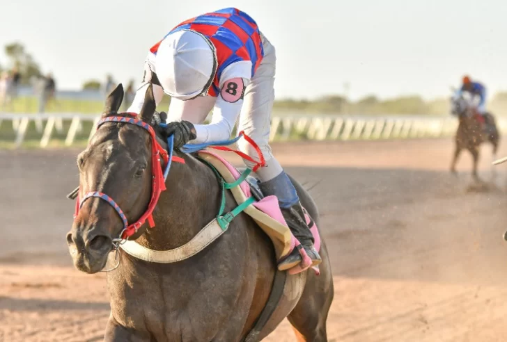 El Dupuy millonario acapara la atención El Dupuy millonario acapara la atención