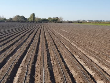 Hay desánimo general entre chacareros, por la situación Hay desánimo general entre chacareros, por la situación