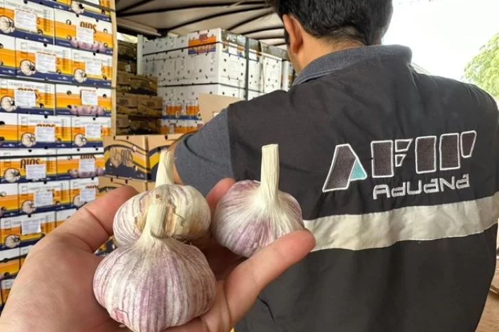 AFIP evitó la exportación fraudulenta de 75 toneladas de ajo en Mendoza y Misiones