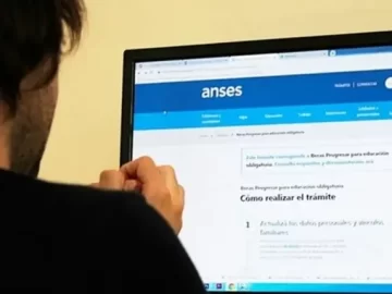 ANSES: cómo conocer los aportes registrados de cada trabajador
