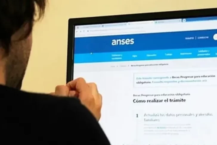 ANSES: cómo conocer los aportes registrados de cada trabajador