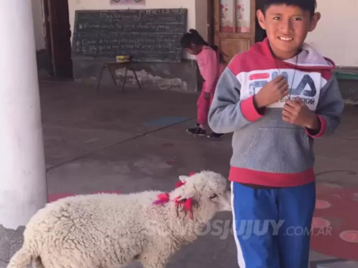 Fue a la escuela con su oveja para no dejarla sola en su casa