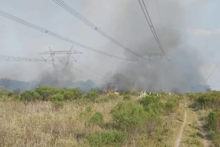 EPRE: “Las causas que se están mencionando no son lo suficientemente importantes como para que se haya generado todo esto”