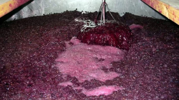 San Juan presentó en COVIAR la propuesta para la edulcoración con jugos naturales San Juan presentó en COVIAR la propuesta para la edulcoración con jugos naturales