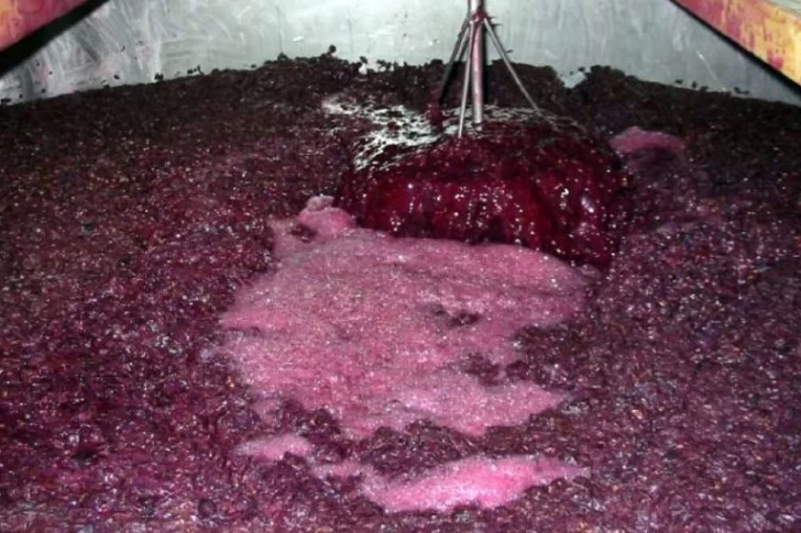 San Juan presentó en COVIAR la propuesta para la edulcoración con jugos naturales