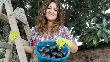 Una candidata salteña vende paltas para solventar su campaña Una candidata salteña vende paltas para solventar su campaña