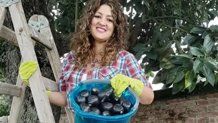 Una candidata salteña vende paltas para solventar su campaña Una candidata salteña vende paltas para solventar su campaña