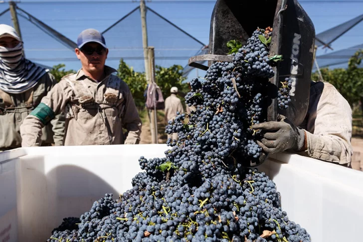 Aprobaron financiamiento del BID por US$40 millones para productores vitivinícolas