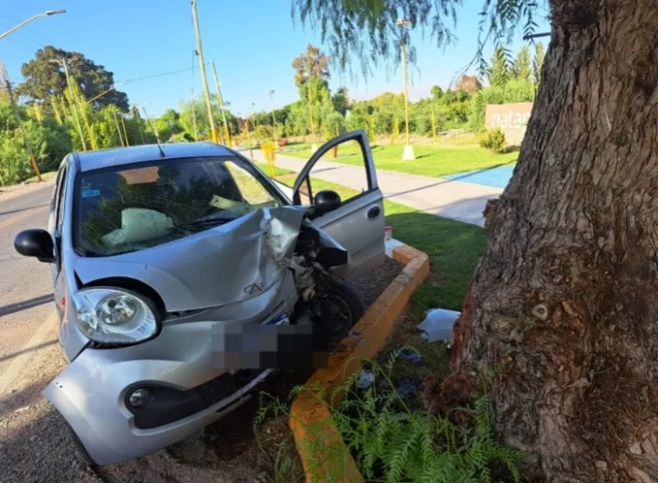 Perdió el control, se estrelló contra un árbol y terminó fracturada Perdió el control, se estrelló contra un árbol y terminó fracturada