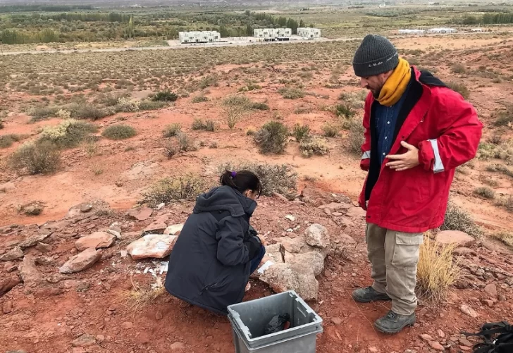 Hallaron el fémur de un titanosaurio en Neuquén Hallaron el fémur de un titanosaurio en Neuquén