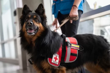 Porque eres un buen compañero Porque eres un buen compañero