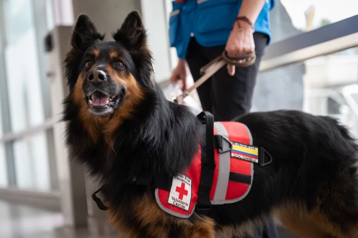 Porque eres un buen compañero Porque eres un buen compañero